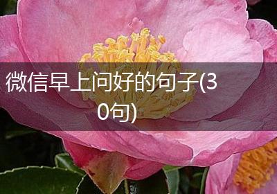 微信早上问好的句子(30句)