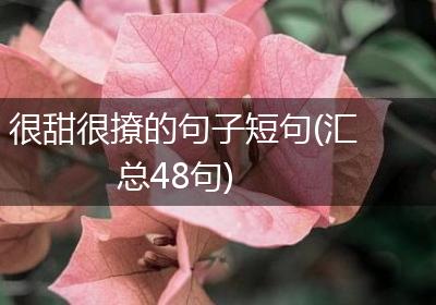 很甜很撩的句子短句(汇总48句)