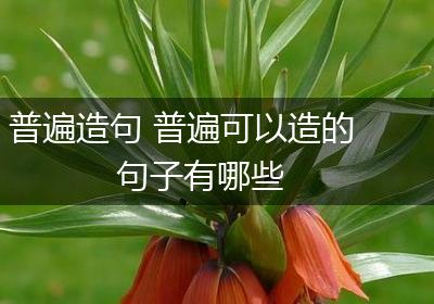 普遍造句 普遍可以造的句子有哪些