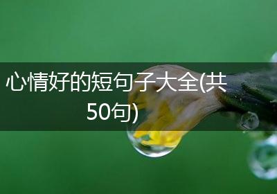 心情好的短句子大全(共50句)