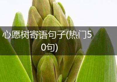 心愿树寄语句子(热门50句)