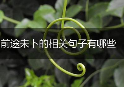 前途未卜的相关句子有哪些