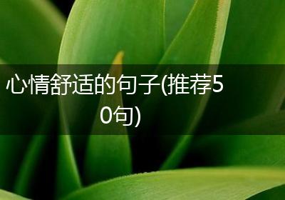 心情舒适的句子(推荐50句)