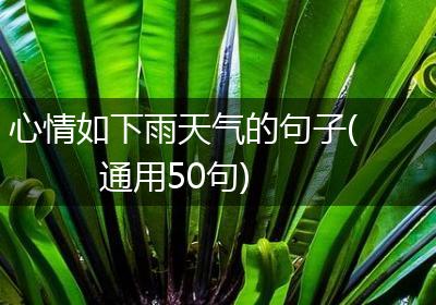 心情如下雨天气的句子(通用50句)