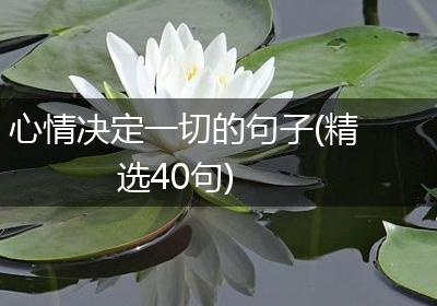 心情决定一切的句子(精选40句)