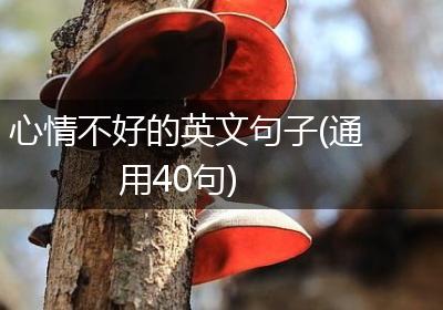 心情不好的英文句子(通用40句)
