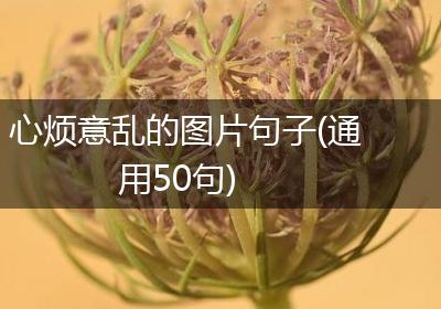 心烦意乱的图片句子(通用50句)