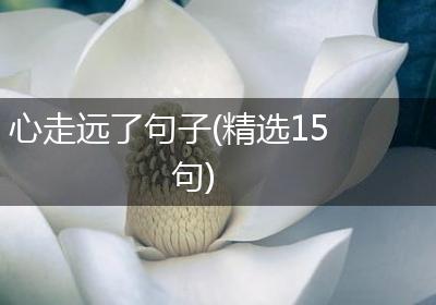 心走远了句子(精选15句)