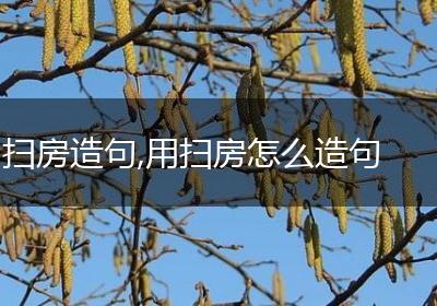 扫房造句,用扫房怎么造句