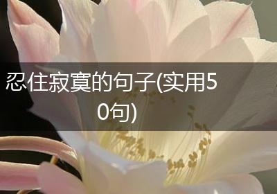 忍住寂寞的句子(实用50句)
