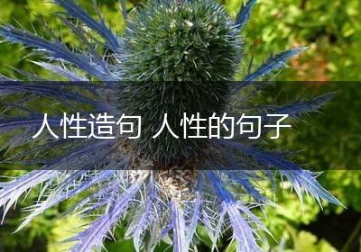 人性造句 人性的句子