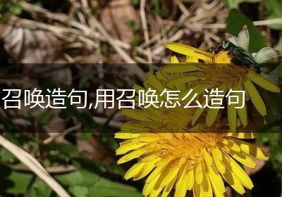 召唤造句,用召唤怎么造句