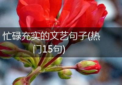 忙碌充实的文艺句子(热门15句)