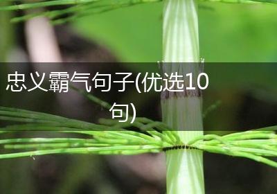 忠义霸气句子(优选10句)
