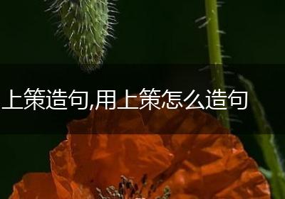 上策造句,用上策怎么造句
