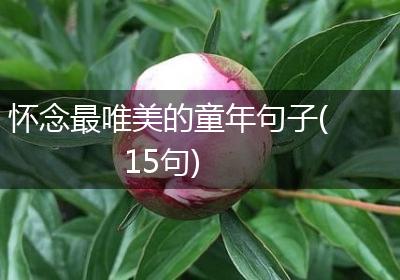 怀念最唯美的童年句子(15句)