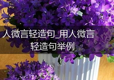 人微言轻造句_用人微言轻造句举例