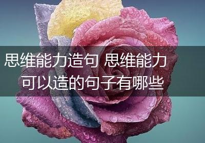 思维能力造句 思维能力可以造的句子有哪些