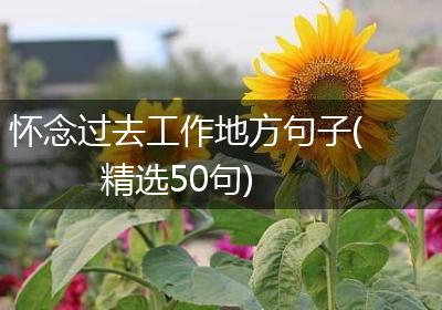 怀念过去工作地方句子(精选50句)