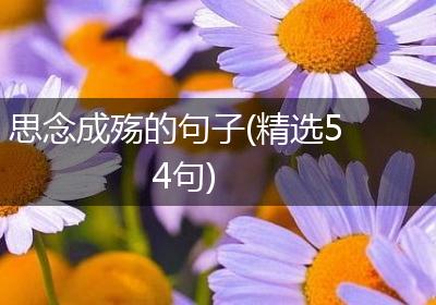 思念成殇的句子(精选54句)