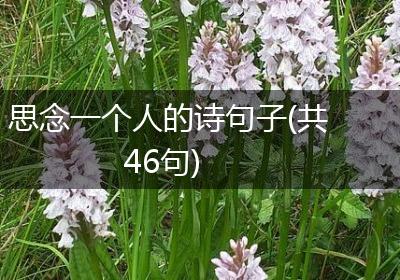 思念一个人的诗句子(共46句)