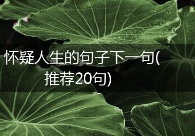 怀疑人生的句子下一句(推荐20句)