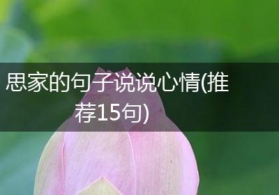 思家的句子说说心情(推荐15句)
