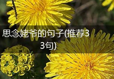 思念姥爷的句子(推荐33句)