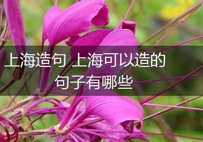 上海造句 上海可以造的句子有哪些