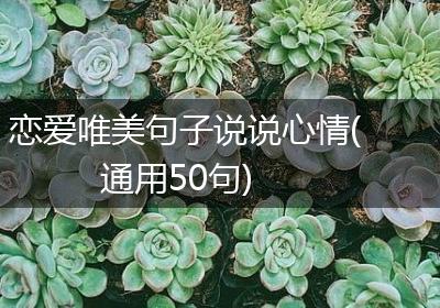 恋爱唯美句子说说心情(通用50句)