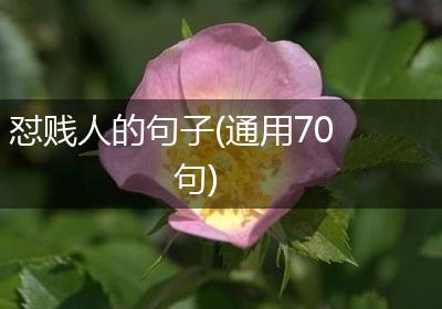 怼贱人的句子(通用70句)