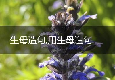 生母造句,用生母造句