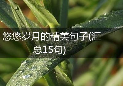 悠悠岁月的精美句子(汇总15句)