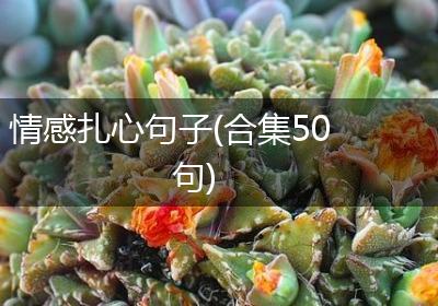 情感扎心句子(合集50句)