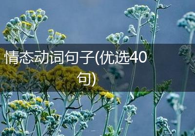 情态动词句子(优选40句)