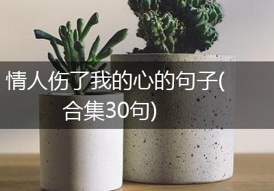 情人伤了我的心的句子(合集30句)