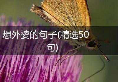 想外婆的句子(精选50句)