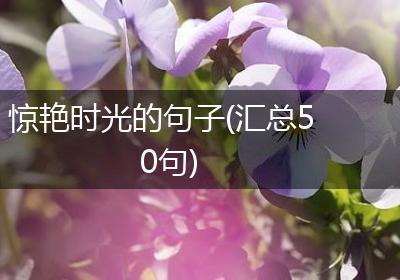 惊艳时光的句子(汇总50句)