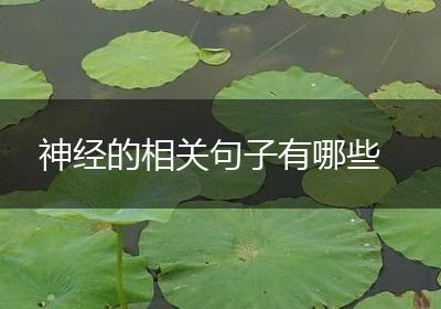 神经的相关句子有哪些