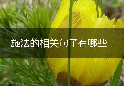 施法的相关句子有哪些