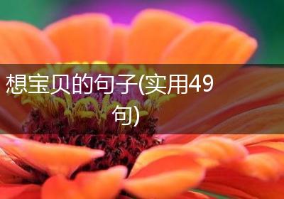 想宝贝的句子(实用49句)