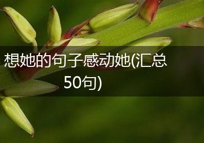 想她的句子感动她(汇总50句)