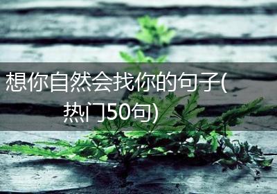 想你自然会找你的句子(热门50句)
