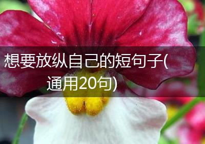 想要放纵自己的短句子(通用20句)