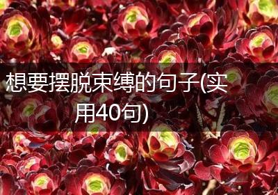 想要摆脱束缚的句子(实用40句)