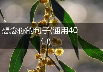 想念你的句子(通用40句)