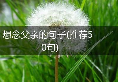 想念父亲的句子(推荐50句)