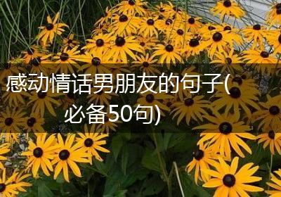 感动情话男朋友的句子(必备50句)
