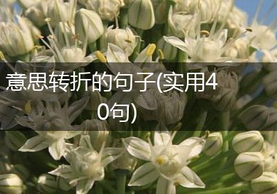 意思转折的句子(实用40句)
