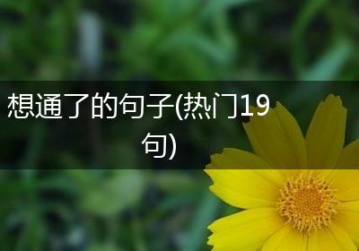 想通了的句子(热门19句)